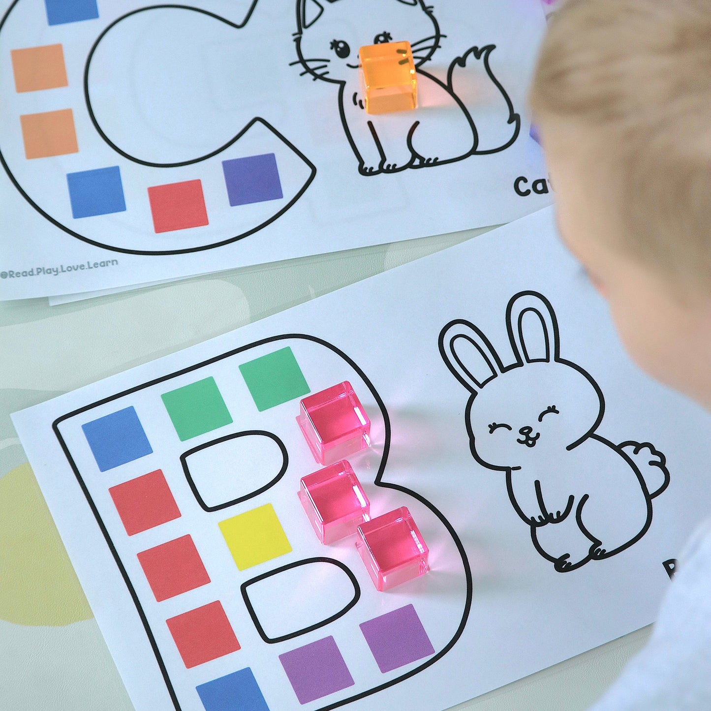 Alphabet Printable Bundle
